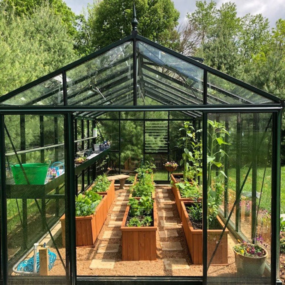 Exaco Janssens Royal Victorian VI 36 Hybrid Greenhouse