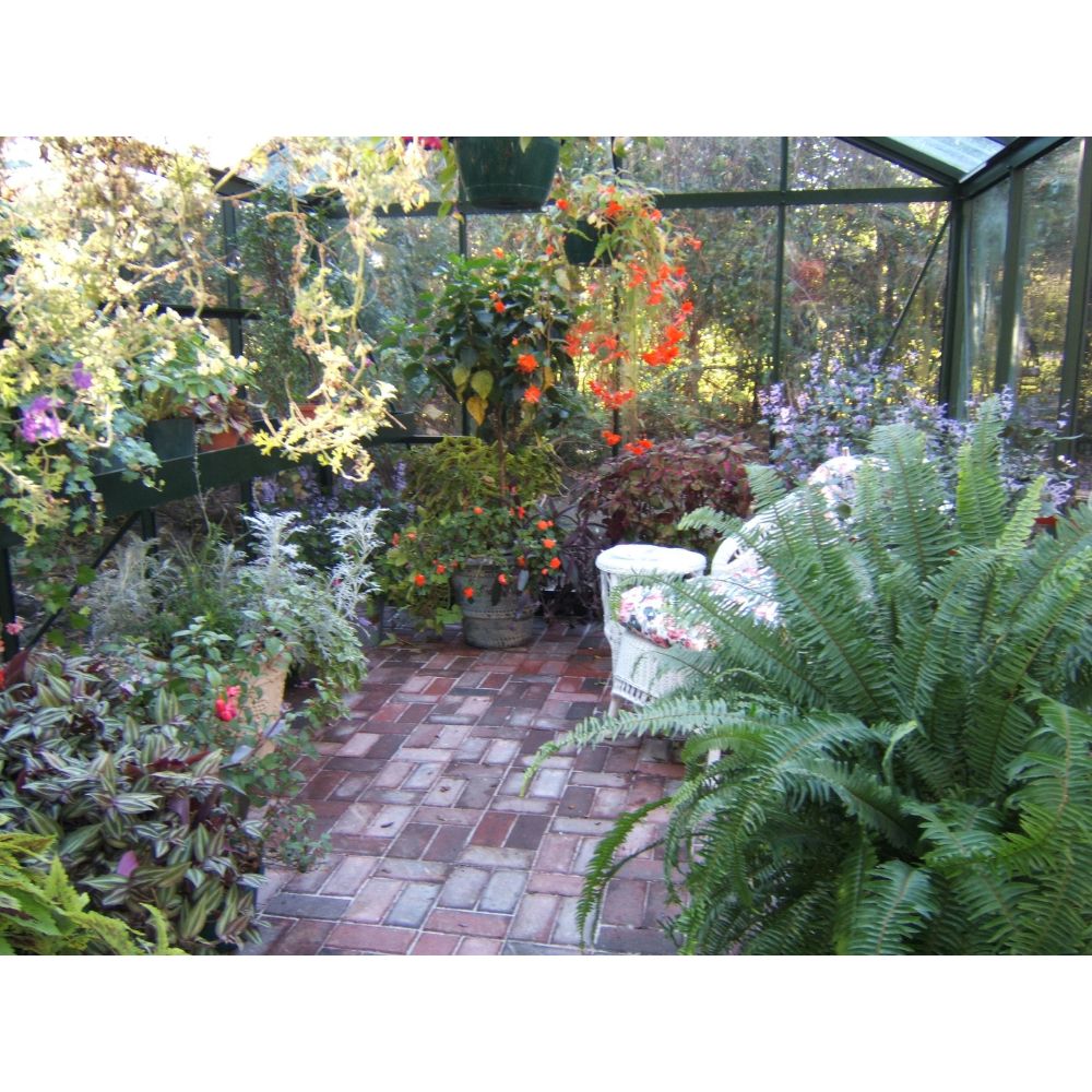 Exaco Janssens Royal Victorian VI 34 Hybrid Greenhouse