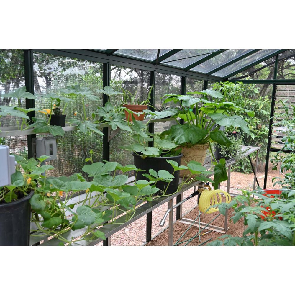 Exaco Janssens Royal Victorian VI 34 Hybrid Greenhouse