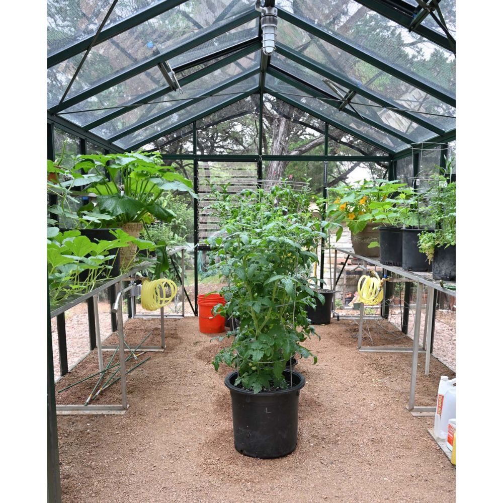 Exaco Janssens Royal Victorian VI 34 Hybrid Greenhouse