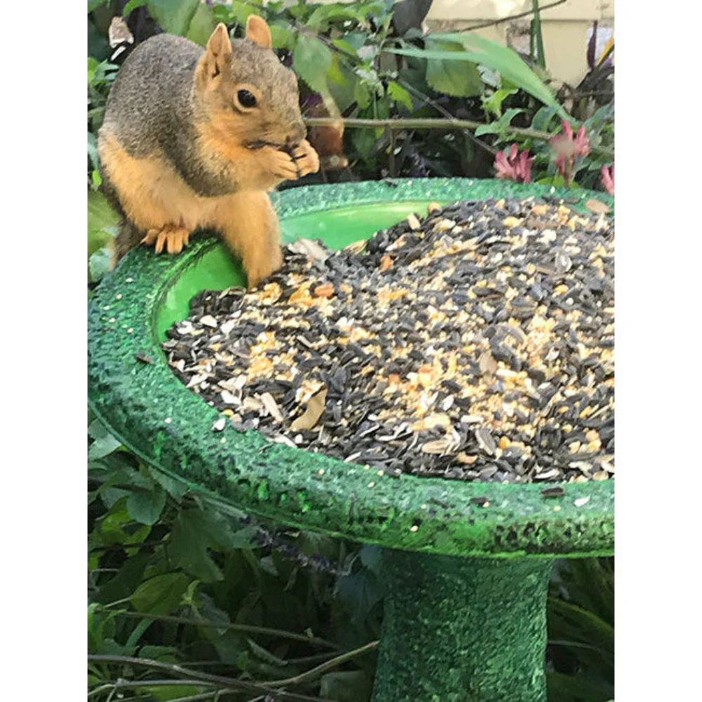 Exaco Dark/Light green Bird Bath