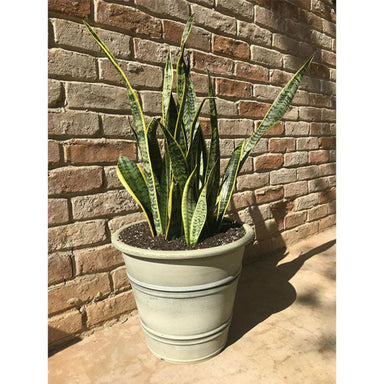 Exaco Round Sandstone Planters - Set of 2