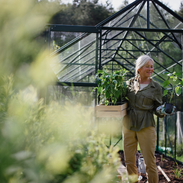 How to Maximize Your Greenhouse Yield with Advanced Growing Techniques