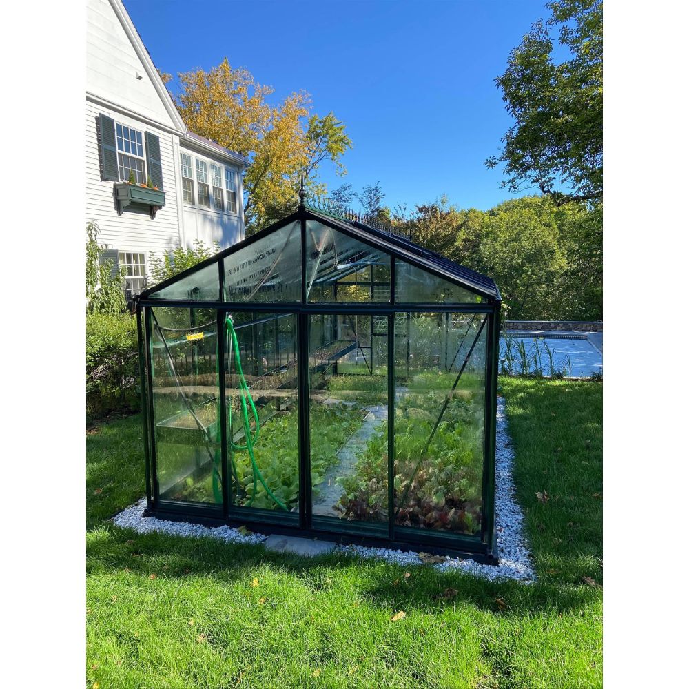 Exaco Janssens Royal Victorian VI 36 Hybrid Greenhouse in Black