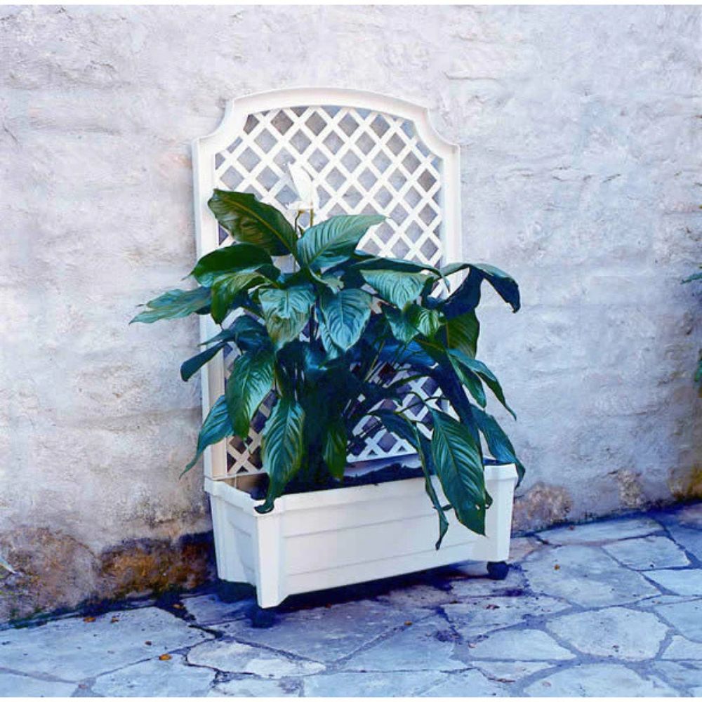 Exaco Calypso Planter with Trellis and Water Reservoir