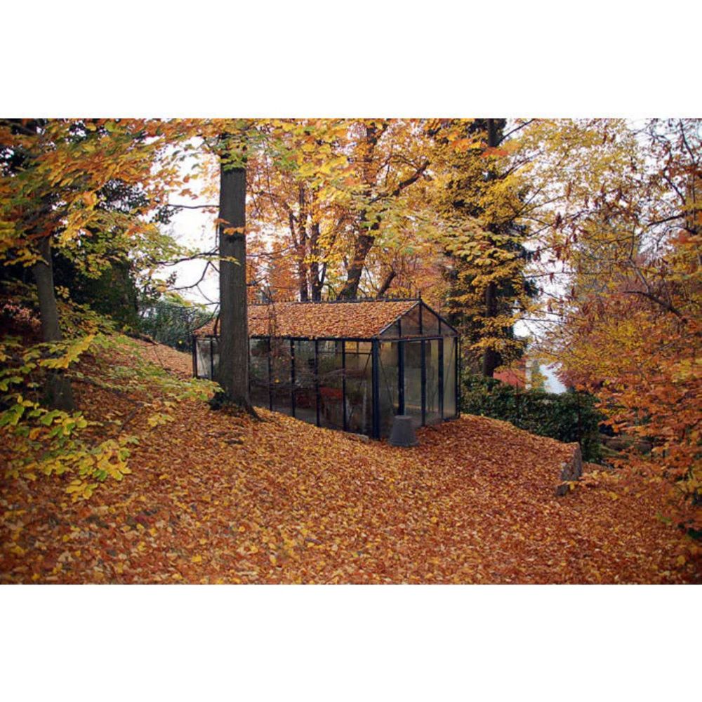 Exaco Janssens Royal Victorian VI 36 Hybrid Greenhouse in Black
