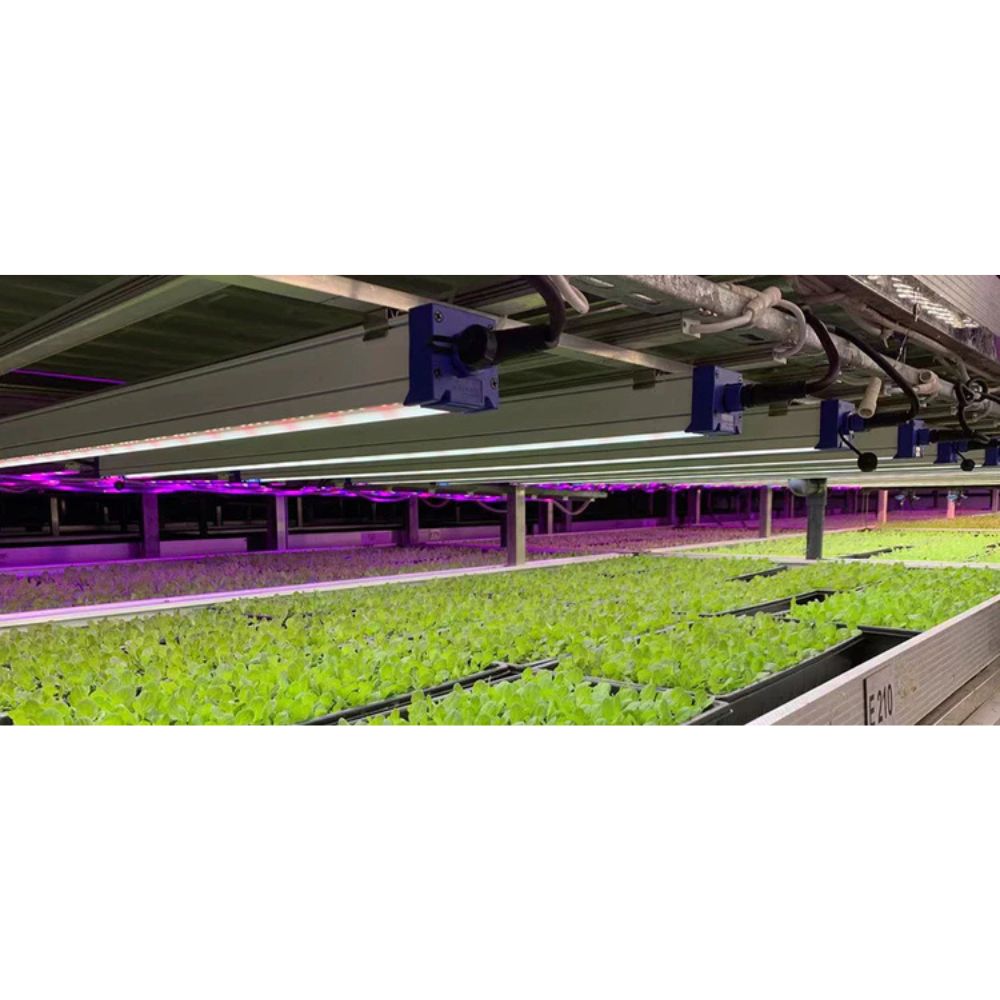 Astrica 45W LED Indoor Plant Grow Light