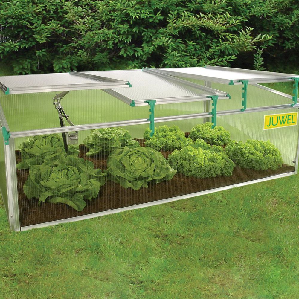 Exaco BioStar 1500 Premium Cold-Frame