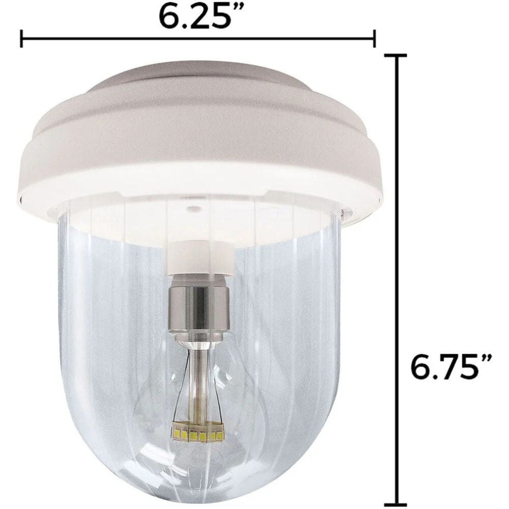 Exaco Gama Sonic Solar-Powered Light My Shed IV