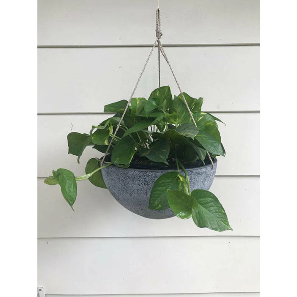 Exaco Hanging Planter