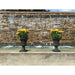 Exaco Imperial Urn Planters - Set of 2