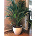 Exaco Planter - Medium Large - Spackled White