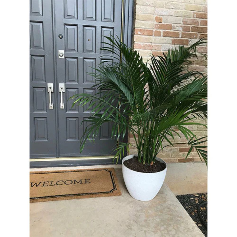 Exaco Planter - Medium Large - Spackled White