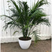 Exaco Planter - Medium Large - Spackled White