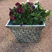 Exaco Square Sandstone Planters - Set of 2