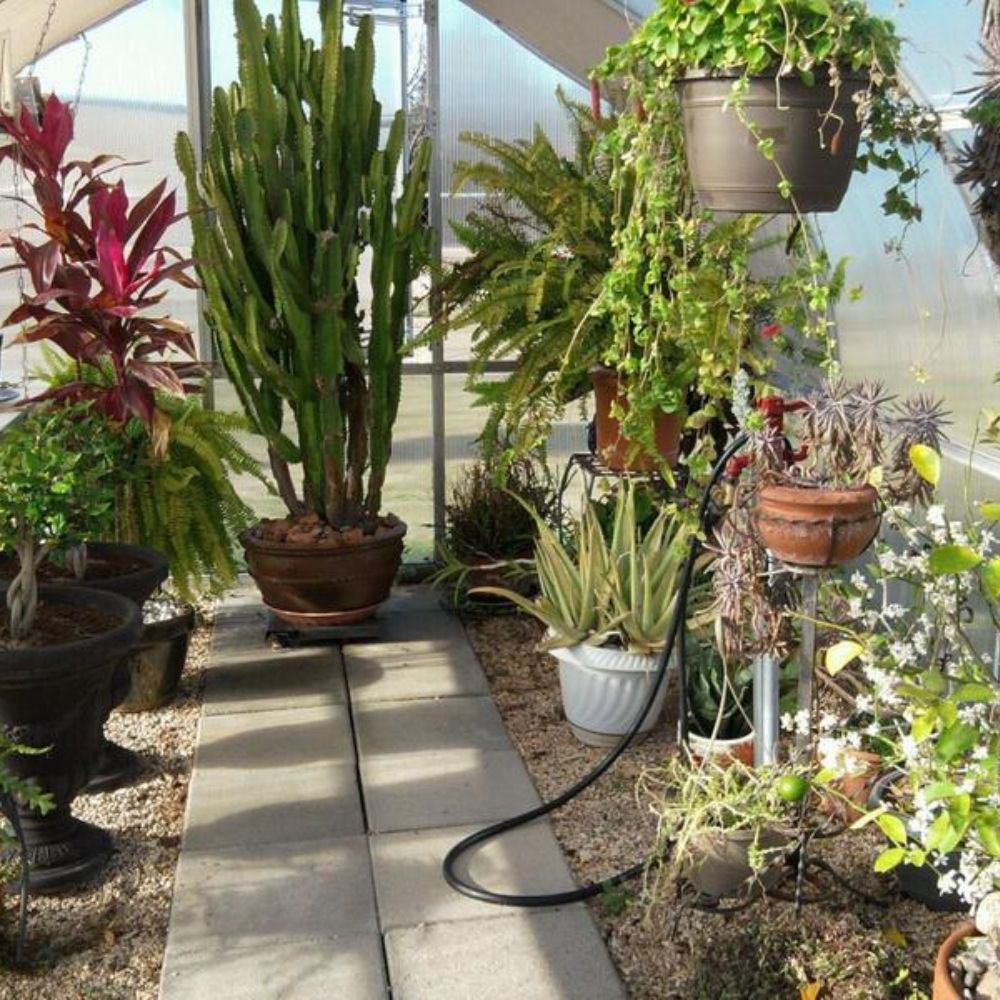 Hoklartherm Riga Greenhouse Lifestyle