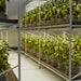 Increase your greenhouse's efficiency