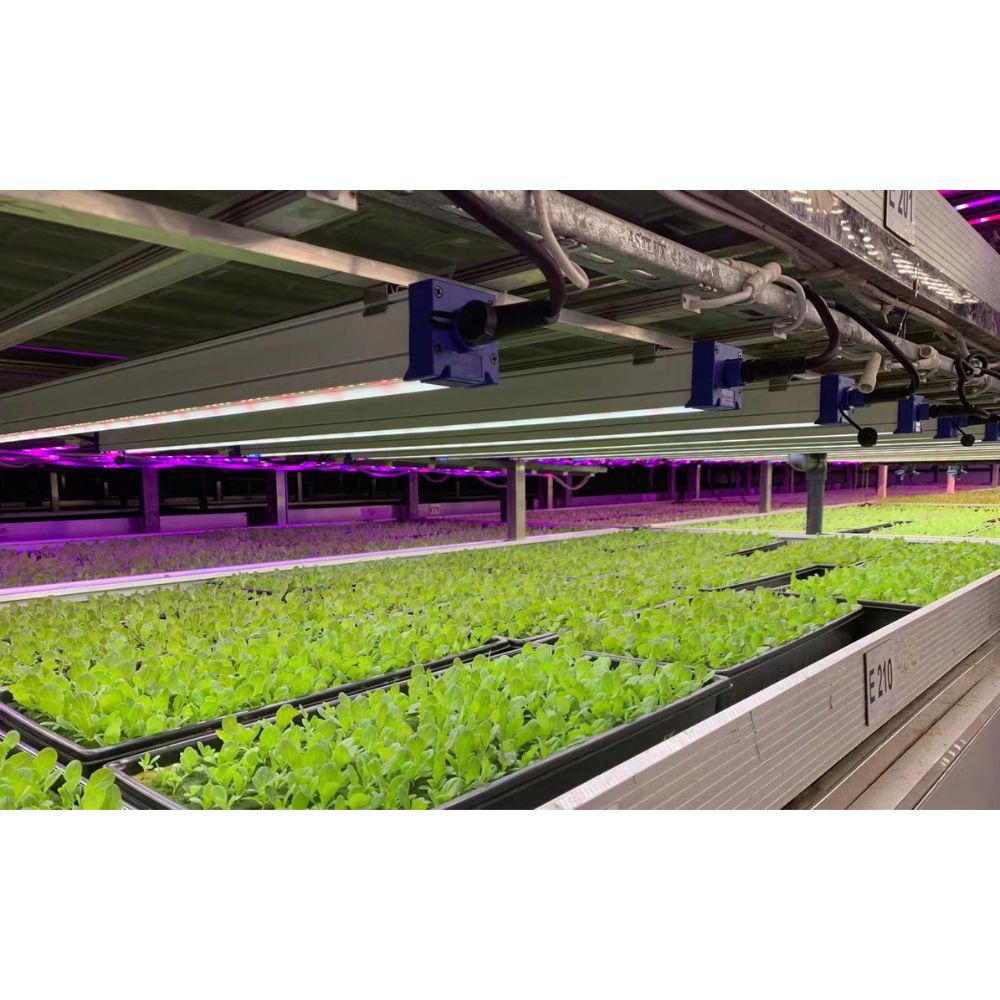 Astrica 45W LED Indoor Plant Grow Light