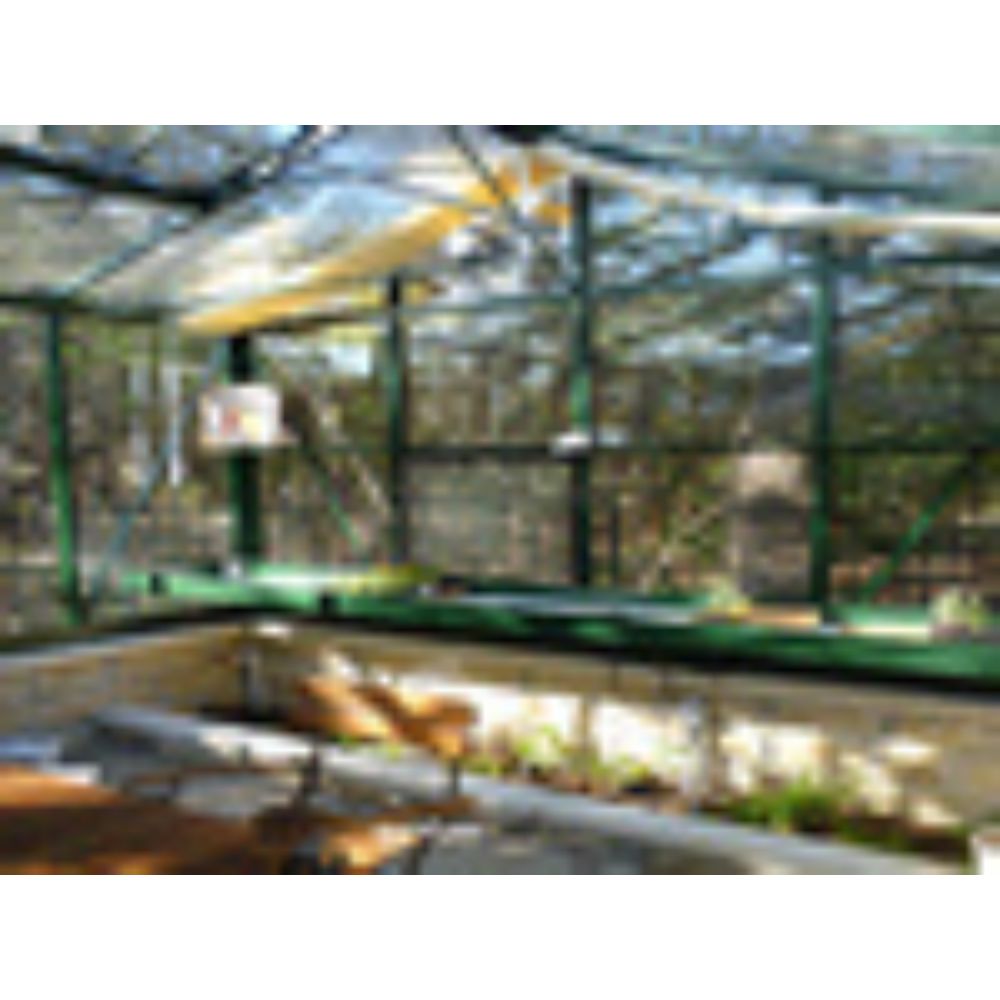 Janssens Royal Victorian Orangerie Greenhouse